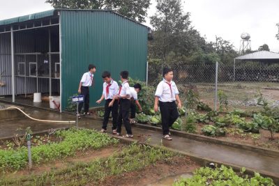 VƯỜN SINH HỌC CỦA TRƯỜNG THCS HÙNG VƯƠNG