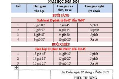 THỜI GIAN HỌC TẬP THEO THỜI KHÓA BIỂU SỐ 3